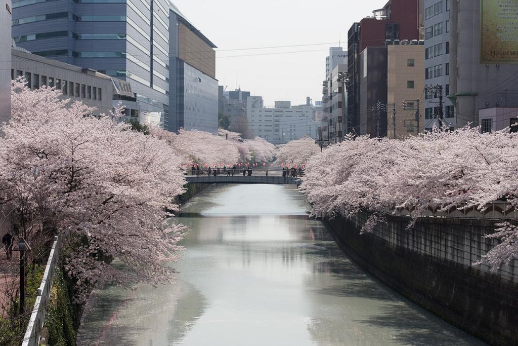 Nesthotel Alt Meguro Ekimae Токио Экстерьер фото